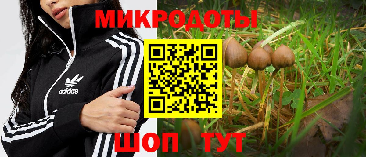 Краснознаменск  Псилоцибиновые грибы мухоморы  Вход с VPN 